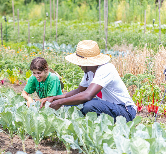 Fresh farm at Home Appétit kitchen sustainable local organic food healthy